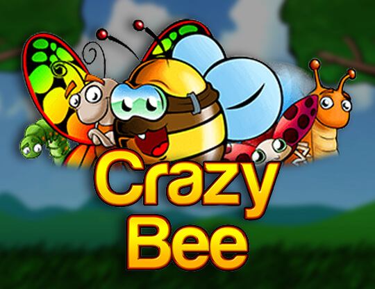 Crazy Bee